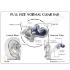 GPI Anatomicals® Clear Ear Model